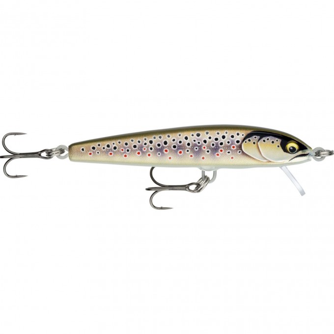 Воблер RAPALA Floater Elite 120 /GDBT FE120-GDBT